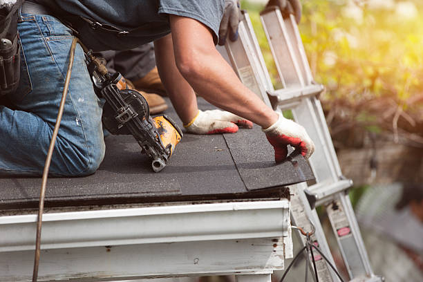Best Roof Leak Repair  in Troy, OH